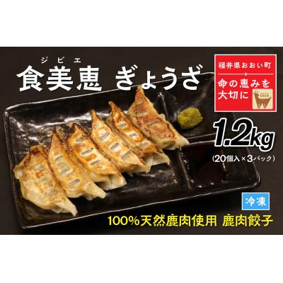 ふるさと納税 おおい町 わかさ食美恵ぎょうざ(20個入り×3パック)ジビエ【福井県おおい町】鹿肉ミンチの餃子