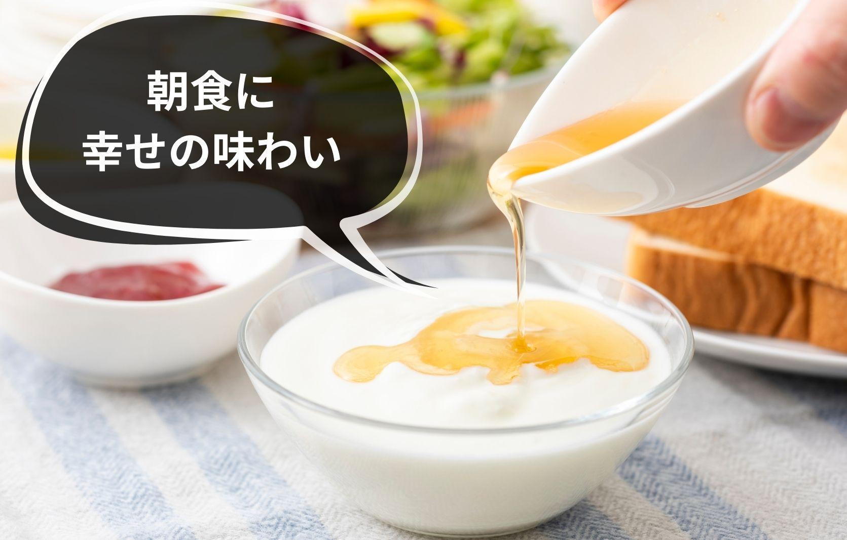 ありだ里山の蜂蜜 570g 化粧箱入り BC05_イメージ4