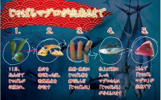 【串本町×北山村】本マグロ（養殖）トロ＆赤身セット500ｇ【8月発送分】 【nks110D-8】