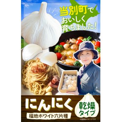 ふるさと納税 当別町 【令和7年発送先行受付】にんにく(福地ホワイト六片種)1.5kg |  | 01