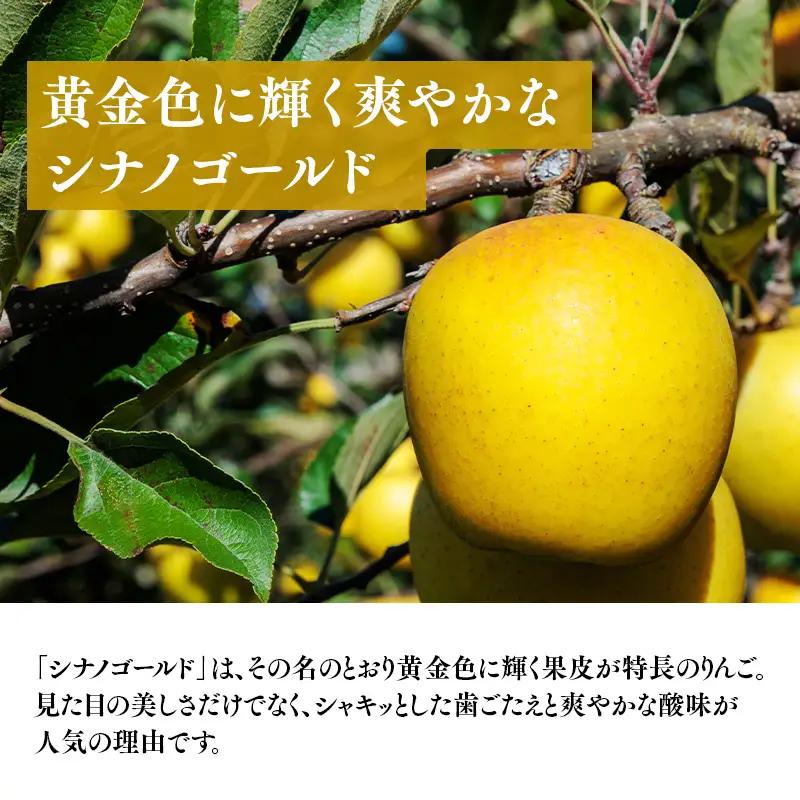 りんご 贈答用シナノゴールド5kg りんご