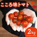 【ふるさと納税】 トマト プチ プチトマト ミニ ミニトマト 新鮮 摘みたて 就労支援 こころみファーム こころ味トマト
