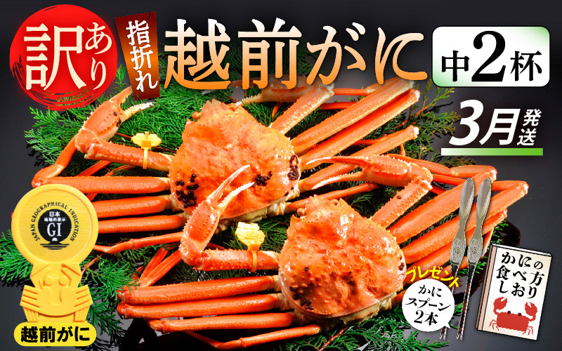 
            【訳あり】≪浜茹で≫指折れ 越前がに（中） × 2杯 食べ方しおり かにスプーン付き【雄 ズワイガニ ずわいがに 越前ガニ 姿 ボイル 冷蔵 福井県】【3月発送分】希望日指定可 備考欄に希望日をご記入ください [e15-x004_03]
          