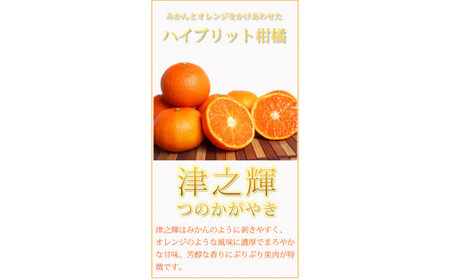 津之輝(つのかがやき)　5kg【予約】※2025年2月上旬～2月下旬頃に順次発送予定(お届け日指定不可) 【uot761】