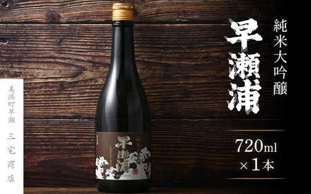 【早瀬浦】純米大吟醸 720ml × 1本【入手困難 日本酒 地酒 福井 美浜 早瀬 フルーティ 男酒 硬水 ミネラル 希少 ご褒美 家飲み 就職祝い 転職祝い ハレの日】 [m16-b015]