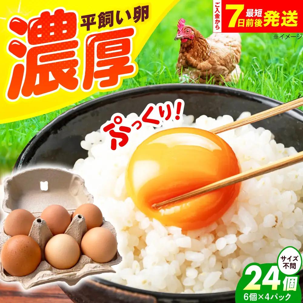 平飼い卵 24個 ベジ彩ファーム[AOEJ003] たまご