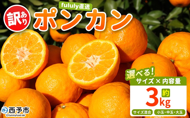 
                  ＜fululy直送 ポンカン 訳あり 約3kg＞ 選べる ワケアリ サイズ混合 小玉 中玉 大玉 果物 フルーツ 蜜柑 ぽんかん 柑橘 家庭用 合同会社fululy 直送 愛媛県 西予市【常温】『2026年1月下旬～3月上旬迄に順次出荷』
                
