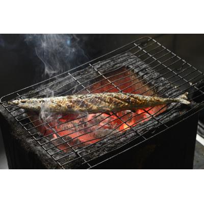 ふるさと納税 広尾町 北海道産急速冷凍サンマ　160g×10尾　約1.6kg(AM0012) |  | 01