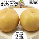 【ふるさと納税】マルマツ農園 あたご梨2玉