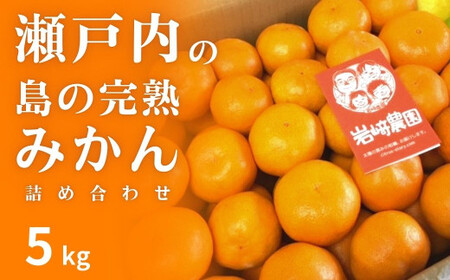 [12月発送] 大崎上島産 濃厚な甘みが自慢！島の完熟みかん詰め合わせ約5kg