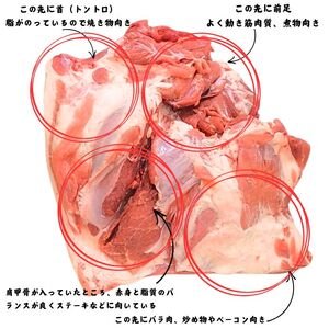 豚肉 〈訳あり・大容量〉伊賀の和豚 ウデブロック 5kg 豚肉 [BW100]