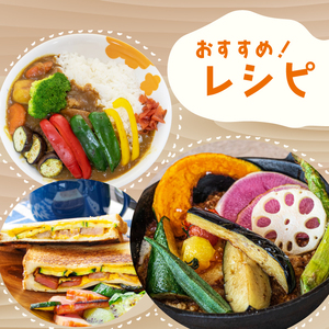 野菜定期便 7品~8品 12ヵ月 産地直送 朝採れ （ 7品 ～ 8品 野菜 セット 詰め合わせ 特産 季節 旬 新鮮 彩 ベジタブル 高知県 須崎市  ）NPO22000