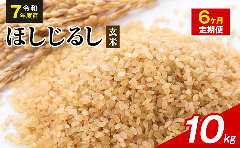 令和7年度産 ほしじるし 10kg 玄米 6ヶ月定期便 米 静岡県 袋井市【離島配送不可】