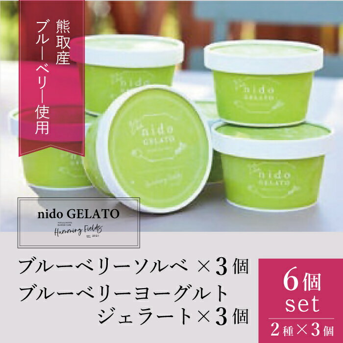 【ふるさと納税】ソルベ＆ジェラート「Nido GELATO」(2種 計6個)【Humming Fields】（025_5003）