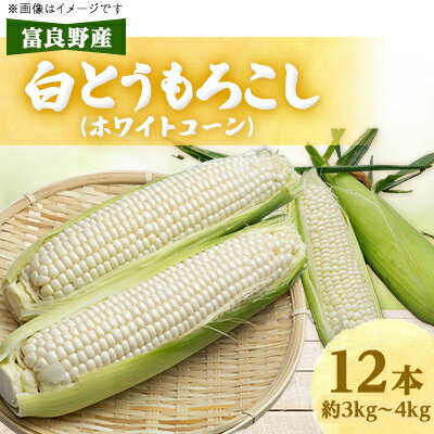 【ふるさと納税】近藤農園の富良野産白とうもろこし(ホワイトコーン) 12本【配送不可地域：離島・沖縄県・信越、北陸・東海・近畿・中国・四国・九州】【1308712】