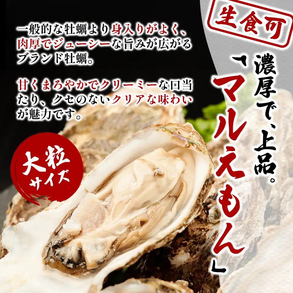 北海道 厚岸産 砂抜き済み あさり 2kg ＆ ブランド牡蠣 マルえもん 殻付き LLサイズ 20個 【光輝】 [ 魚貝類 海鮮 海の幸 みそ汁 酒蒸し アサリバタ 産地直送 生食用牡蠣 生食用 牡蠣