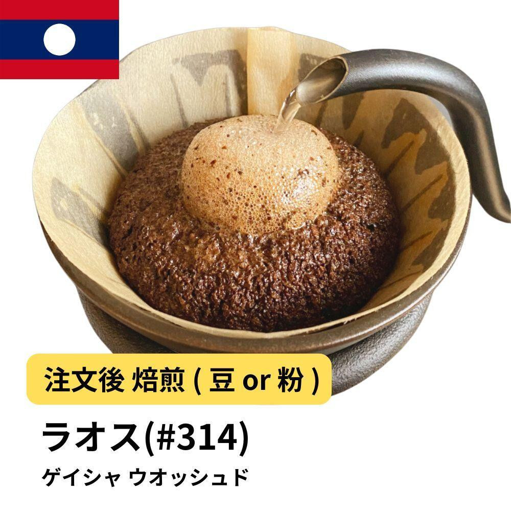 
            コーヒー #314 ラオス ゲイシャ100% ウオッシュド 310g 当日焙煎 大山珈琲 （豆または中挽きから選択）
          