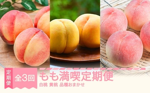 【先行予約】もも満喫定期便 全3回 白桃 黄桃 秀品 2026年産 令和8年産 ※沖縄・離島への配送不可 sb-ftmox3