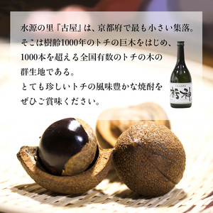 焼酎 限定生産 とちの実を使った焼酎「栃神」720ml 焼酎 ギフト焼酎 焼酎 京都の焼酎