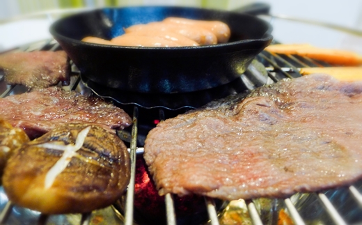 【数量限定】松川牧場のこだわり牛肉 BBQ 焼肉セット 600g 国産牛