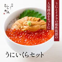 【ふるさと納税】「うにむらかみ」うに屋のうに・いくらセット【 ふるさと納税 人気 おすすめ ランキング うに ウニ 雲丹 いくら イクラ イクラ丼 塩水ウニ 塩水うに キタムラサキウニ バフンウニ うに丼 海鮮 ミョウバン 不使用 北海道 北斗市 送料無料 】 HOKT006