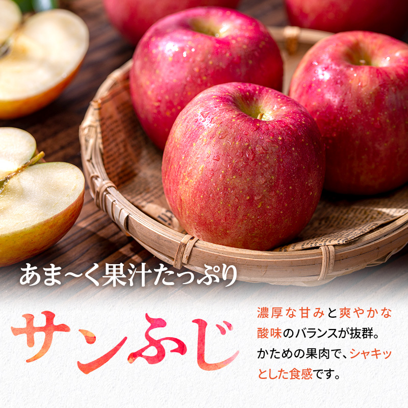 りんご 信州上田産 サンふじ 家庭用 約3kg 8～9個 林檎 リン