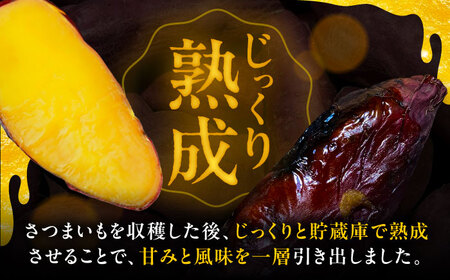 さつまいも 10㎏ / 焼き芋 焼きいも 紅はるか シルクスイート あまはづき 野菜 愛西市 / 川口農園[AEDH002]