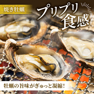 牡蠣 生食 殻付き 36個 冷蔵 ＼ 牡蠣 ／