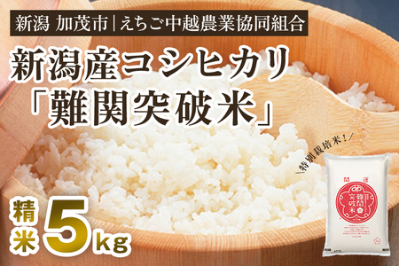 【令和7年産】新潟産コシヒカリ なんかん育ち「難関突破米」精米5kg 《順次出荷》 白米 特別栽培米 えちご中越農業協同組合