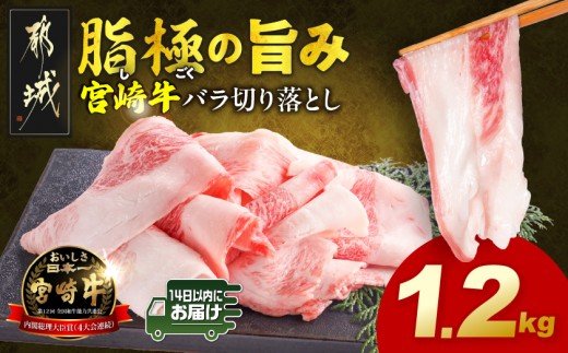 
                  宮崎牛バラ切り落とし1.2kg≪みやこんじょ快急便≫_12-N2-019-1200g-R_(都城市) 宮崎牛 牛肉 宮崎県産 国産 黒毛和牛 バラ肉 バラ きりおとし 300g 小分けパック 煮込み 炒め物 牛丼 カレー 肉じゃが 肉豆腐高級 とろける ミヤチク 14日以内お届け
                