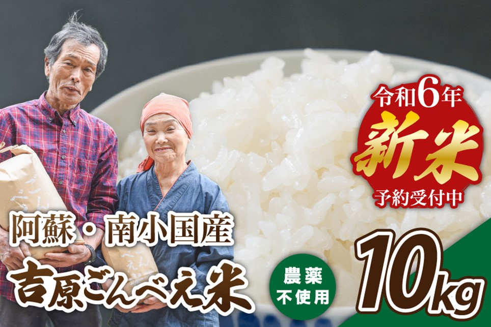 【予約受付】令和７年産・新米 ごんべえ米 １０kg 令和7年産 白米 玄米 精米 米 お米 玄米対応可能 ご飯 ごはん 無農薬 農薬不使用 産地直送 熊本 南小国 送料無