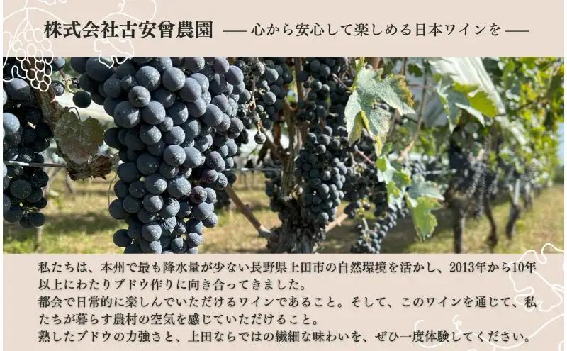 Koaso 長期熟成向き赤ワイン2023ヴィンテージ　2本セット ワイン 日本ワイン 赤 上田市