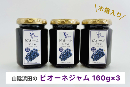 山陰浜田のピオーネジャム　木箱入り ジャム フルーツジャム ピオーネ ぶどう 3個 贈り物 贈答品 【032_2066】