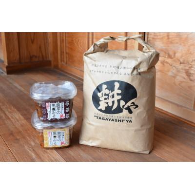 ふるさと納税 丹波篠山市 黒豆みそ ブラック・ホワイト750g各1個　コシヒカリ　白米5キロ