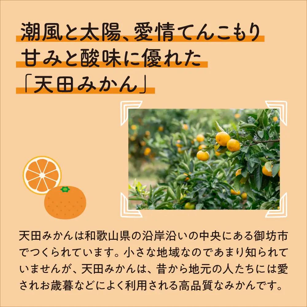 【1169-2】和歌山の農園直送北村農園の天田みかん7.5kg（家庭用）