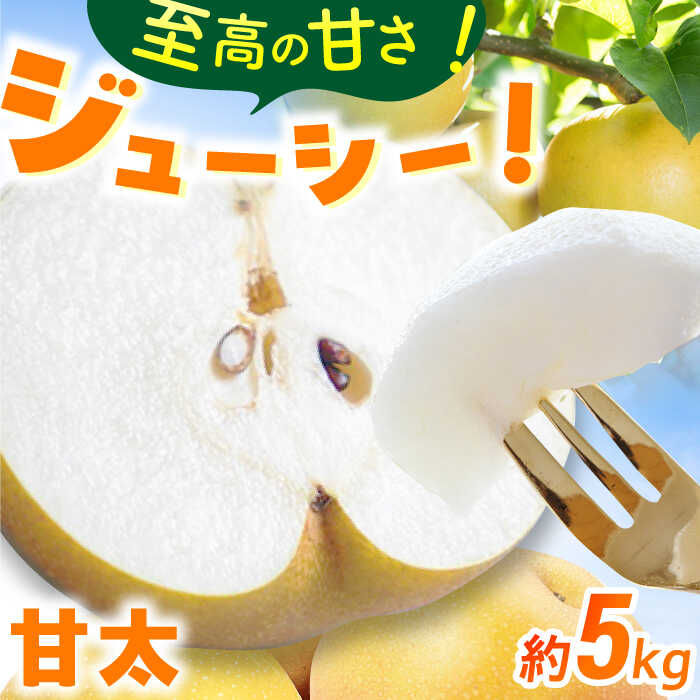 【ふるさと納税】【★先行予約★　2026年9月中旬より発送】梨（甘太）約5kg 広川町 / JAふくおか八女農産物直売所どろや[AFAB061]