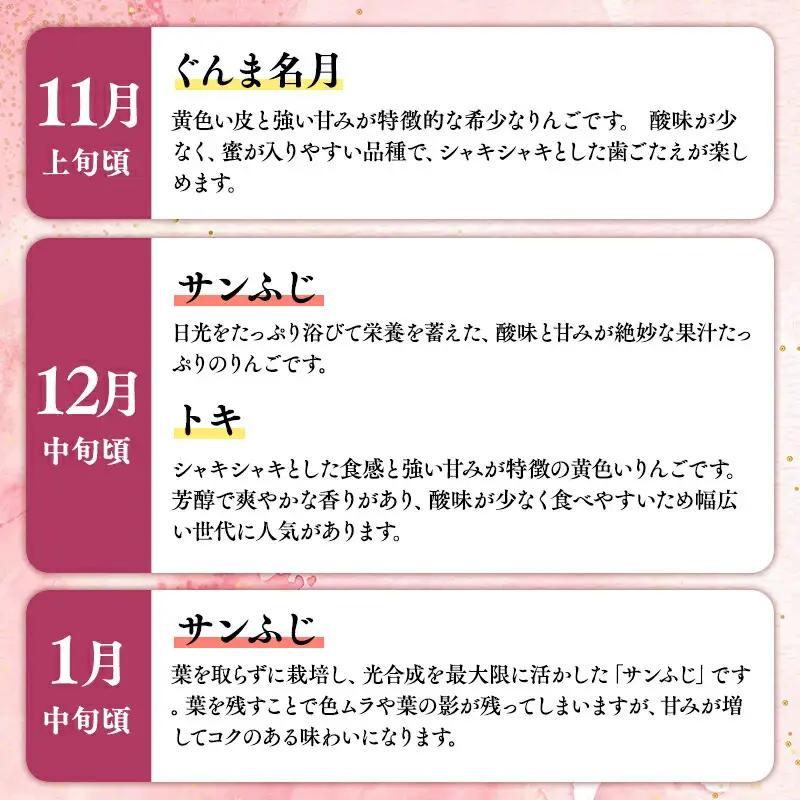 りんご 家庭用 6か月定期便 約3kg 青森県平川市産 [hi-0036-010]