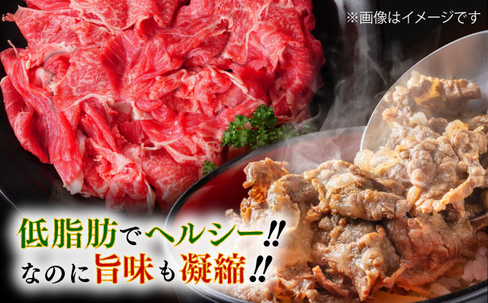 あか牛 切り落とし 約1kg / あか牛 肉 お肉 牛肉 和牛 赤身 切落し 切り落とし 1kg 熊本 菊陽 冷凍【株式会社中野畜産】 [BHAQ003]
