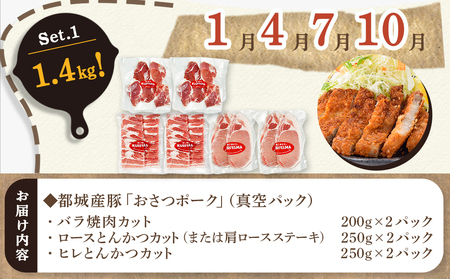 ≪3回連続お届け≫「おさつポーク」バラエティ定期便_T33-3-1401_(都城市) 豚肉 都城産豚 おさつポーク 真空 冷凍 3回連続 定期便