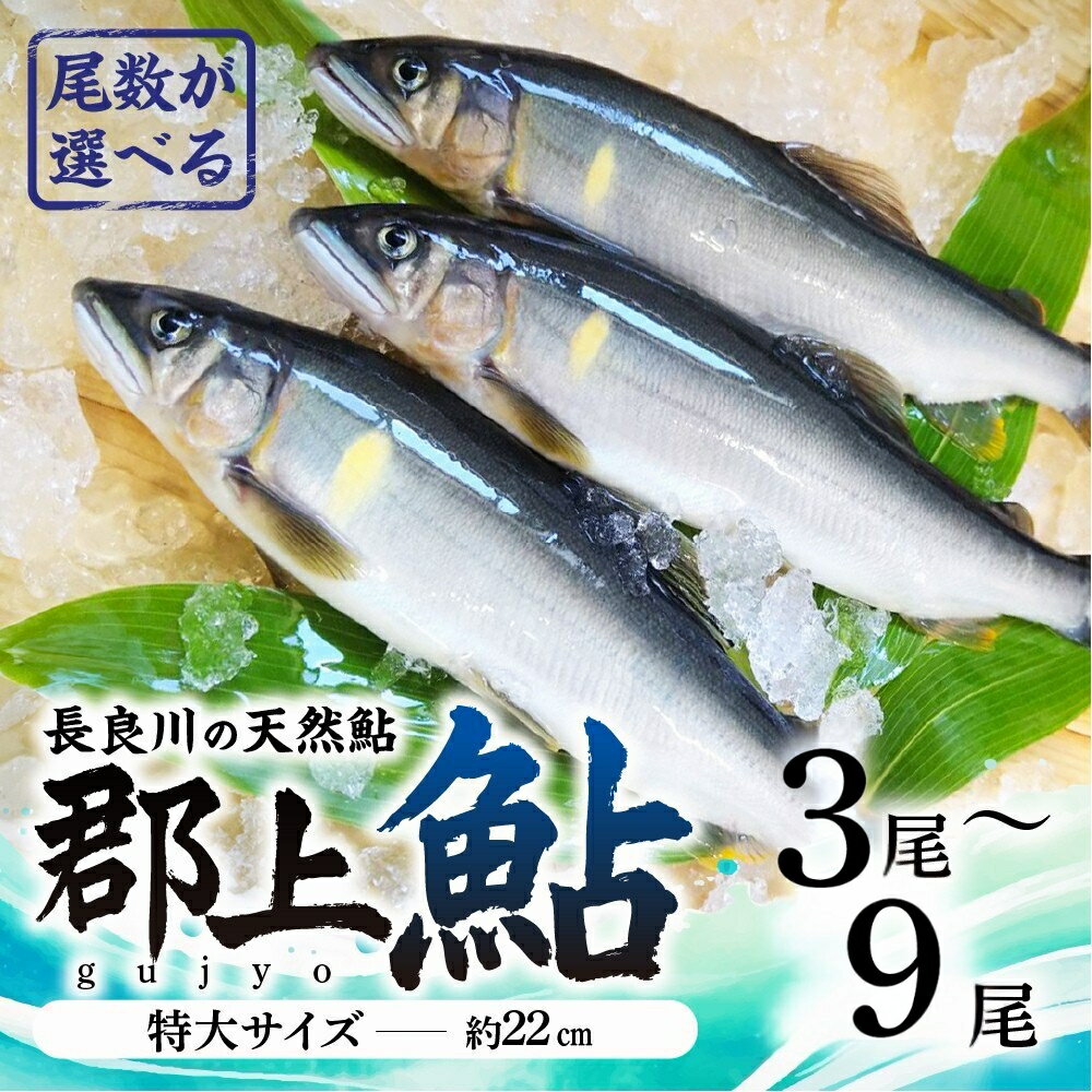【ふるさと納税】【尾数が選べる】郡上鮎 長良川の天然鮎 特大サイズ(約22cm) 3尾～9尾 / 食品 魚介類 水産加工品 その他水産物 鮎 アユ 10000円 15000円 20000円 30000円