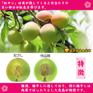 梅干し 訳あり 大入り 130g 6袋 合計780g 梅干し