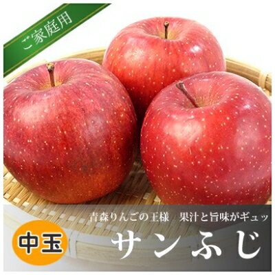【ふるさと納税】青森県黒石産サンふじ家庭用 約5kg【1247476】