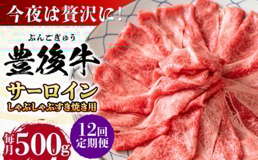 【全12回定期便】【厳選部位】おおいた豊後牛 サーロイン しゃぶしゃぶすき焼き用 500g 日田市 / 株式会社MEAT PLUS　牛 うし 黒毛和牛 和牛 豊後牛 [AREI085]