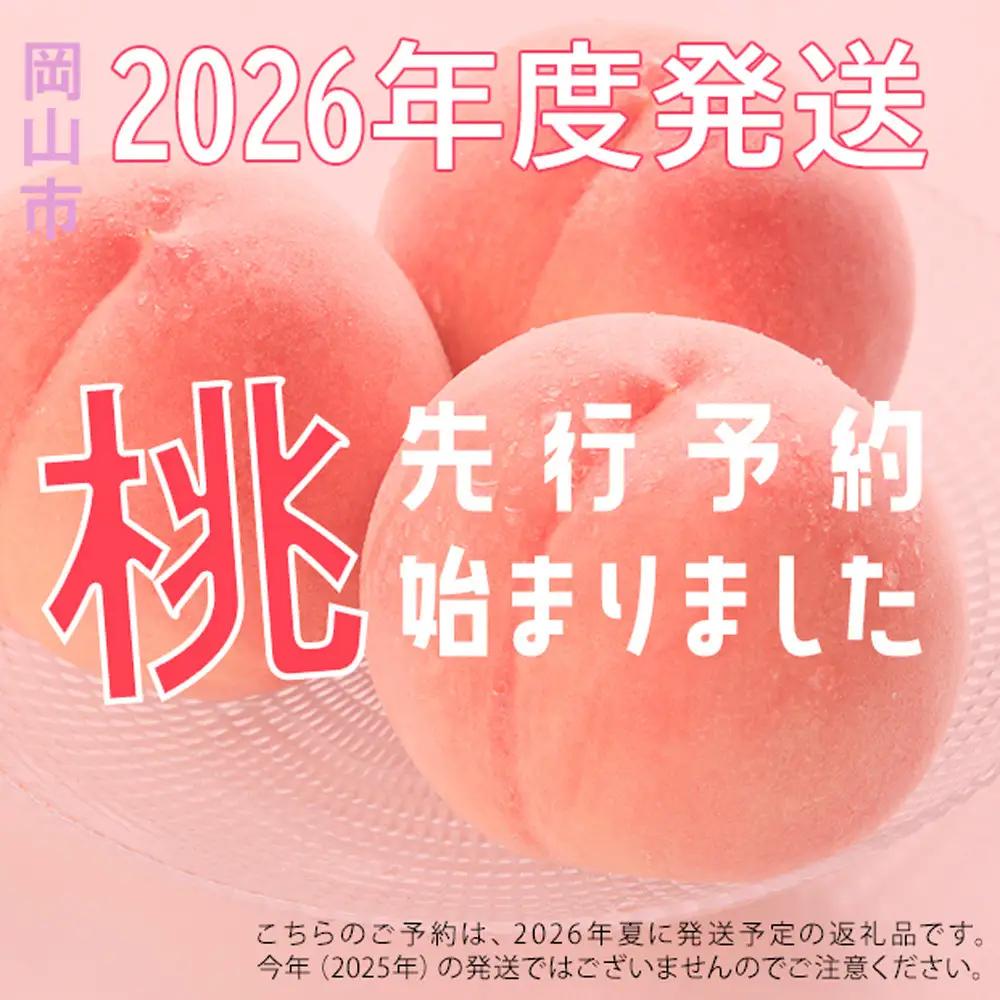 2026年 先行予約 岡山県産   白 桃  エース 約2kg（5～10玉）｜ 桃