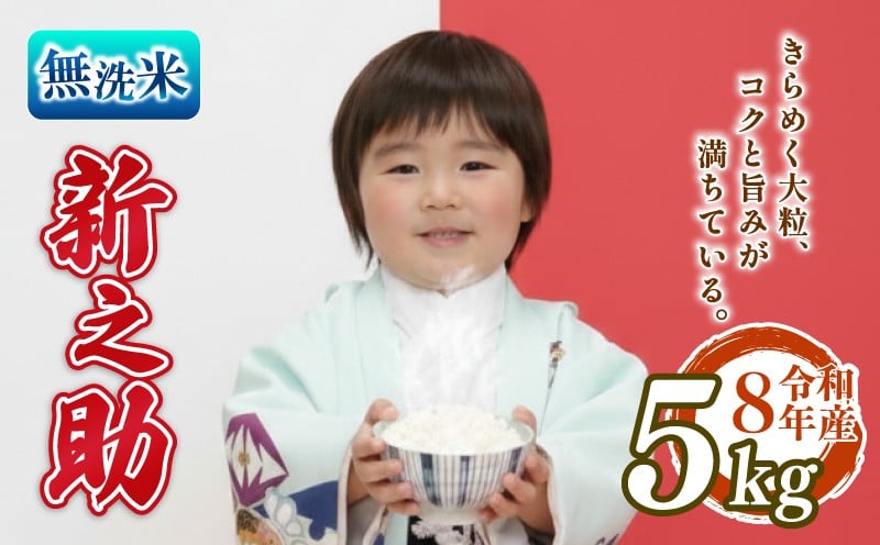 
                  先行予約 令和8年産 無洗米 新之助 5kg しんのすけ 白米 米 国産 環境こだわり おこめ お米 ご飯 ごはん オニギリ お弁当 kome 送料無料 数量限定 農家直送 産地直送 国産 川瀬農園 四代目 悠助 新潟 新発田 kwsMSS001_202609
                