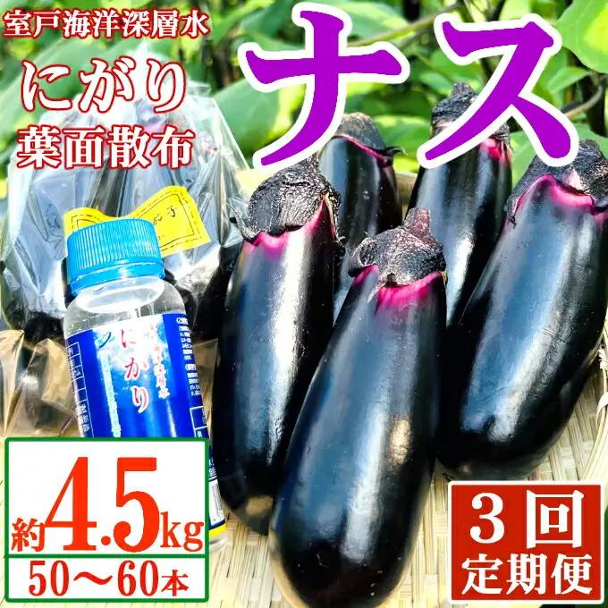 【定期便3回発送】農家直送　土佐の美味茄子の新鮮ナス　４．５kg　（室戸海洋深層水にがり使用） 野菜 なす ナス 常温 小袋 国産 夏野菜 茄子 小分け 旬 45000円 高知 頒布会