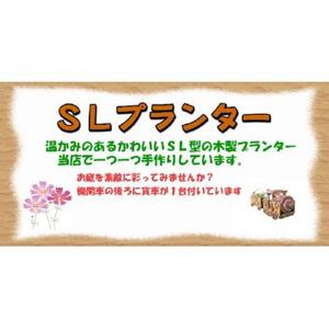 【ガーデニング】ＳＬプランター　280型　|  プランター
