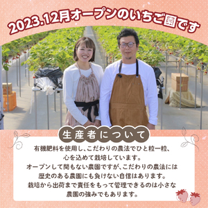 採れたて瞬間冷凍！ 滋賀県愛荘町産　冷凍いちご 1kg（500g×2）品種ミックス　 冷凍 いちご 紅ほっぺ よつぼし みおしずく あまえくぼ