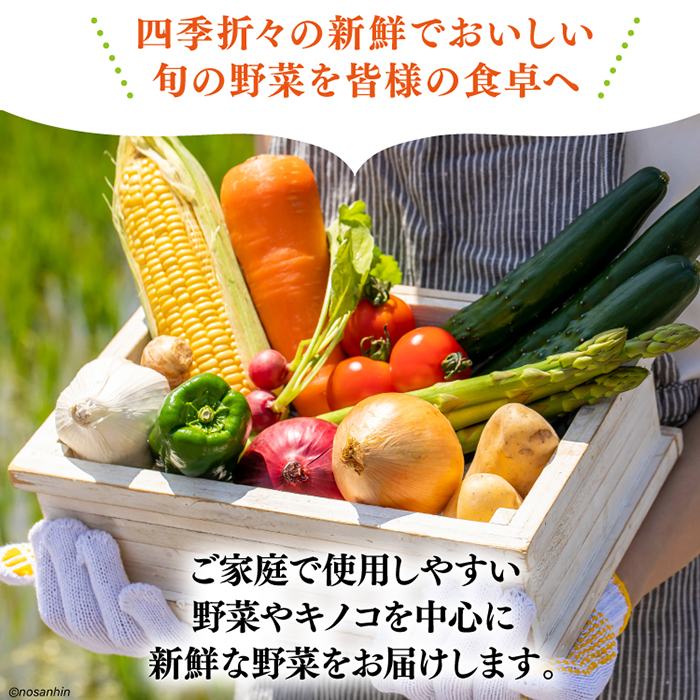 【6回定期便】毎月連続 新鮮 「旬の野菜・フルーツ」 詰め合わせ セット（10品〜12品）/ 野菜 定期便 やさい 定期便 野菜セット/ 南島原市 /長崎県農産品流通合同会社 [SCB095]_イメー