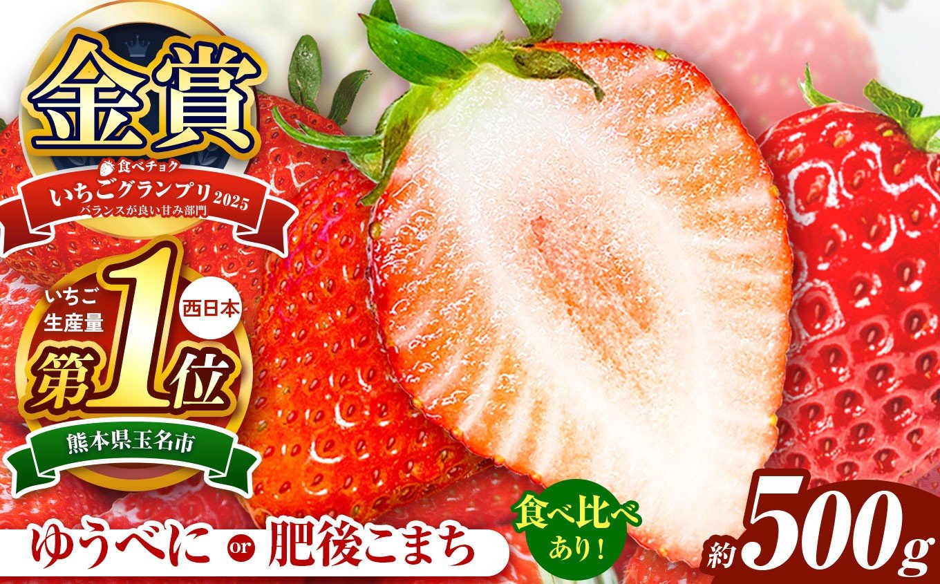 
            選べる 種類 肥後こまち ゆうべに 食べ比べ 容量 約500g | 肥後こまち ゆうべに 果物 くだもの フルーツ イチゴ 苺 いちご 熊本県 玉名市
          